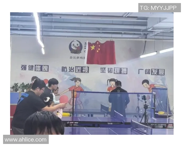 乒乓球战术解析：探秘北京乒乓球队的阵地战术体系与应用策略